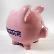 Humane Society Vintage Pink Pig Ceramic Piggy Bank: Main