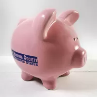 Humane Society Vintage Pink Pig Ceramic Piggy Bank: Main - Click to enlarge