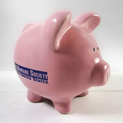 Humane Society Vintage Pink Pig Ceramic Piggy Bank: Main