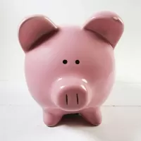 Humane Society Vintage Pink Pig Ceramic Piggy Bank: Front - Click to enlarge