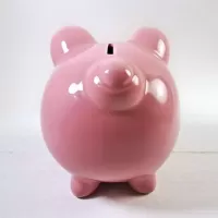 Humane Society Vintage Pink Pig Ceramic Piggy Bank: Back - Click to enlarge