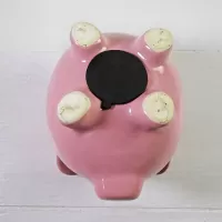 Humane Society Vintage Pink Pig Ceramic Piggy Bank: Bottom - Click to enlarge