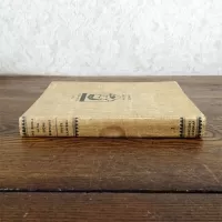 Ken Holt Mystery 1949 The Riddle of the Stone Elephant: Spine - Click to enlarge