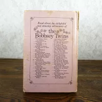 The Bobbsey Twins: The Red, White and Blue Mystery Book: Back - Click to enlarge
