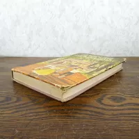 The Bobbsey Twins: The Red, White and Blue Mystery Book: Side - Click to enlarge
