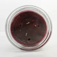 Crushed Red Currant 11.5 oz. Scented Candle: Top - Click to enlarge