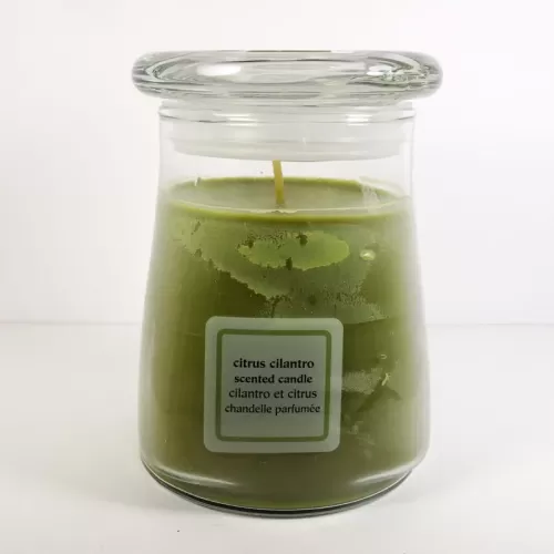 Citrus Cilantro 15 oz. Scented Candle in a Glass Jar: Front