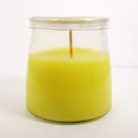 Tropical Fruits 3 oz. Scented Candle Glass Container: Front - Click to enlarge