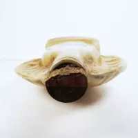 Florida Seashell Headquarters 1968 Jim Beam Decanter: Top - Click to enlarge