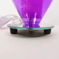 Wildflowers on Purple Electric Scented Oil Warmer: Feet - Click to enlarge