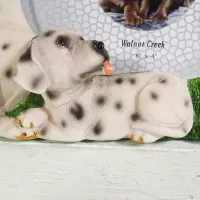 Dalmatian dogs and puppies polyresin figurine photo frame holds one 6x4 picture: Laying Puppy - Click to enlarge