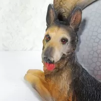 German Shepherd dog and puppies polyresin figurine photo frame holds one 6x4 picture: Laying Puppy Face - Click to enlarge