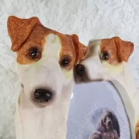 Jack Russell dogs and puppies polyresin figurine photo frame holds one 4x6 picture: Adults Faces - Click to enlarge