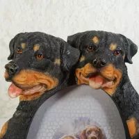 Rottweiler dogs and puppy polyresin figurine photo frame holds one 4x6 picture: Adults - Click to enlarge
