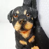 Rottweiler dogs and puppy polyresin figurine photo frame holds one 4x6 picture: Puppy Face - Click to enlarge