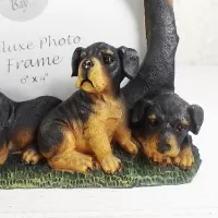 Rottweiler dog and puppies polyresin figurine photo frame holds one 6x4 picture: Puppies Left - Click to enlarge