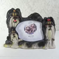 Shih Tzu dogs and puppy polyresin figurine photo frame holds one 6x4 picture: Front - Click to enlarge