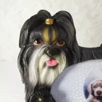 Shih Tzu dogs and puppy polyresin figurine photo frame holds one 6x4 picture: Adult Face - Click to enlarge
