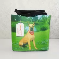 Great Dane Sitting in a Field Shoulder Tote Bag: Front - Click to enlarge